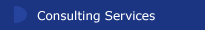 Consulting Services