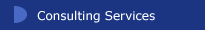 Consulting Services